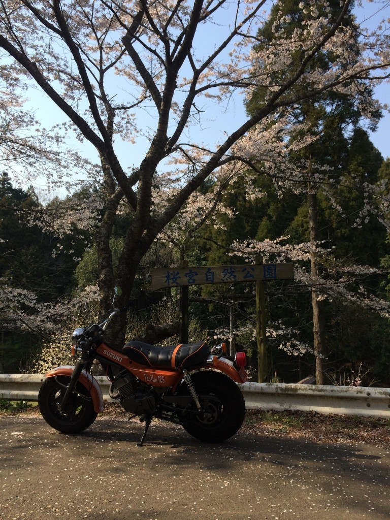 多古町　　　　　　　桜宮自然公園